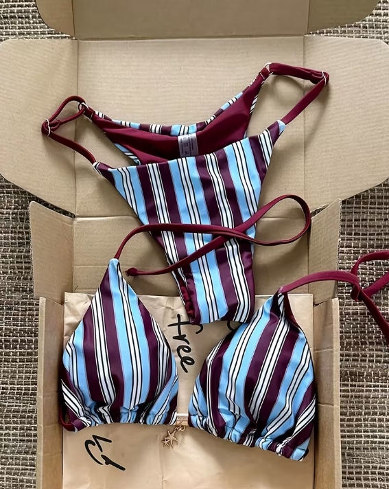 Blue & Wine Striped Bikini