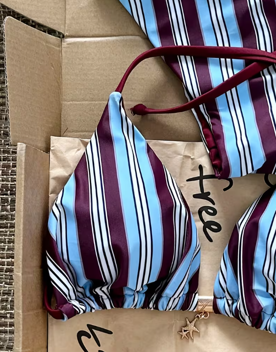Blue & Wine Striped Bikini
