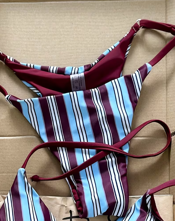 Blue & Wine Striped Bikini