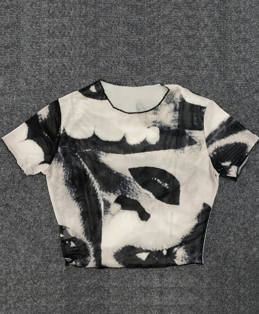 Eye Mesh Crop Top